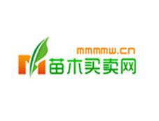 ��ľ�I�u�W(w��ng)